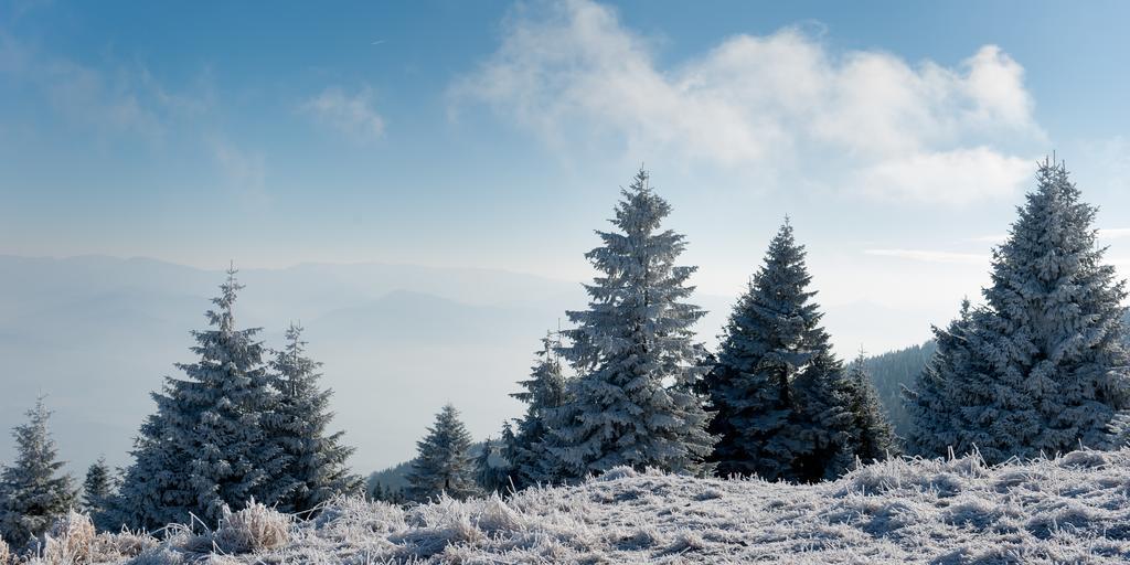 Penzion Ladoven Skvela Kuchyna A Rodinna Atmosfera Martin Exteriér fotografie